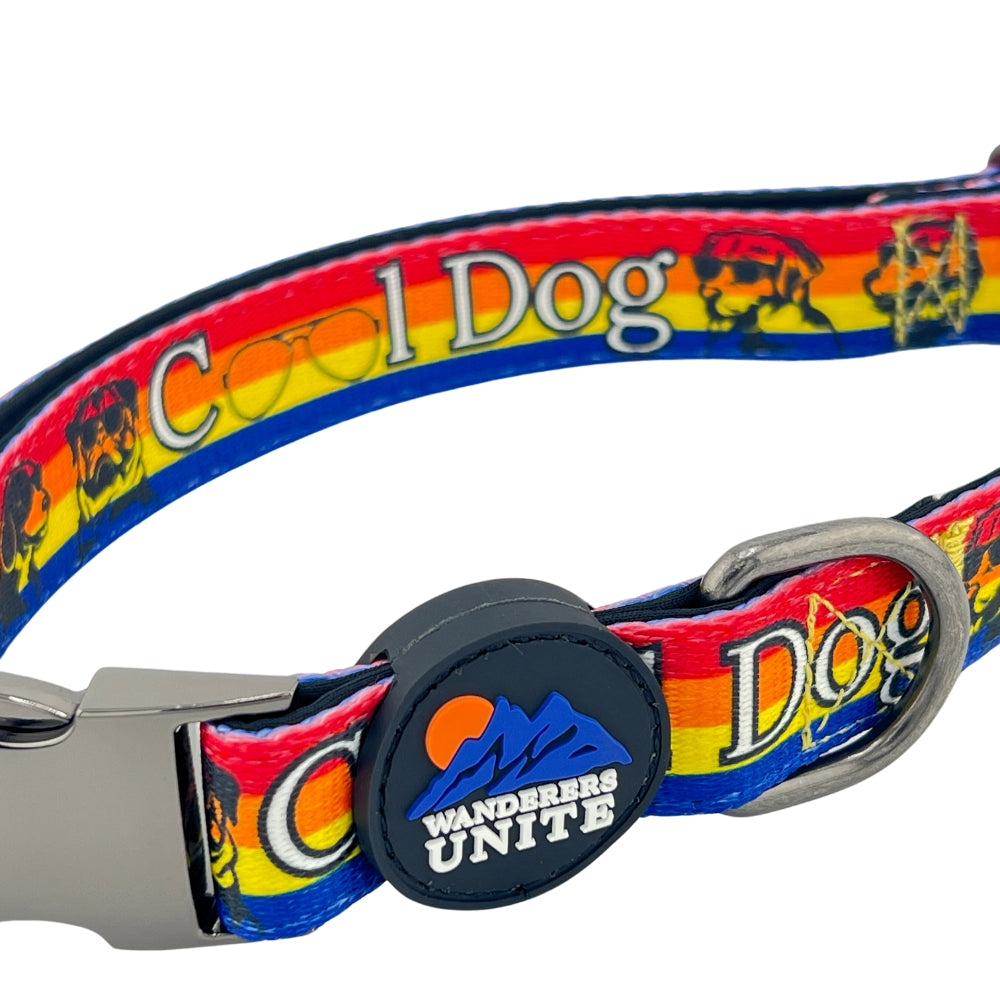 Cool Dog, Custom and Cool Dog Collar