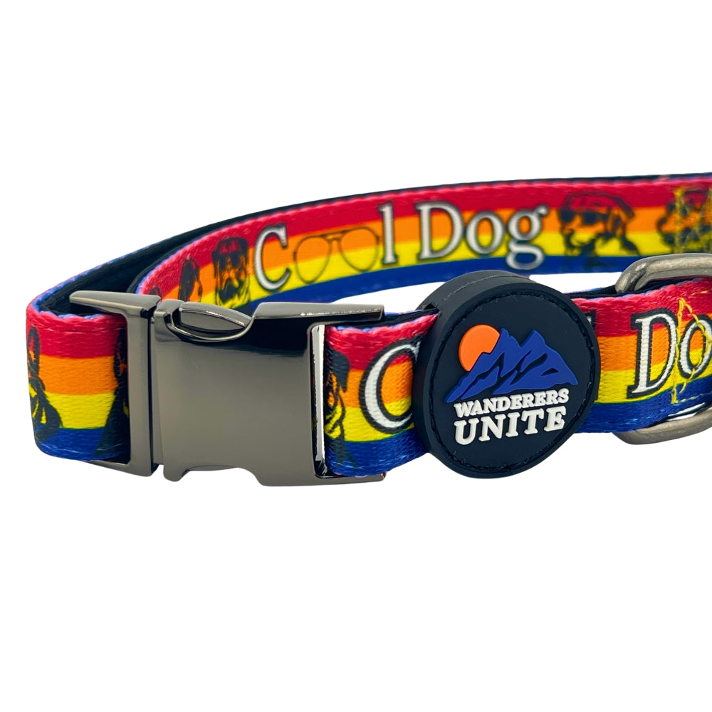 Cool Dog, Custom and Cool Dog Collar