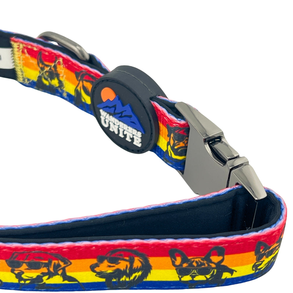 Cool Dog, Custom and Cool Dog Collar