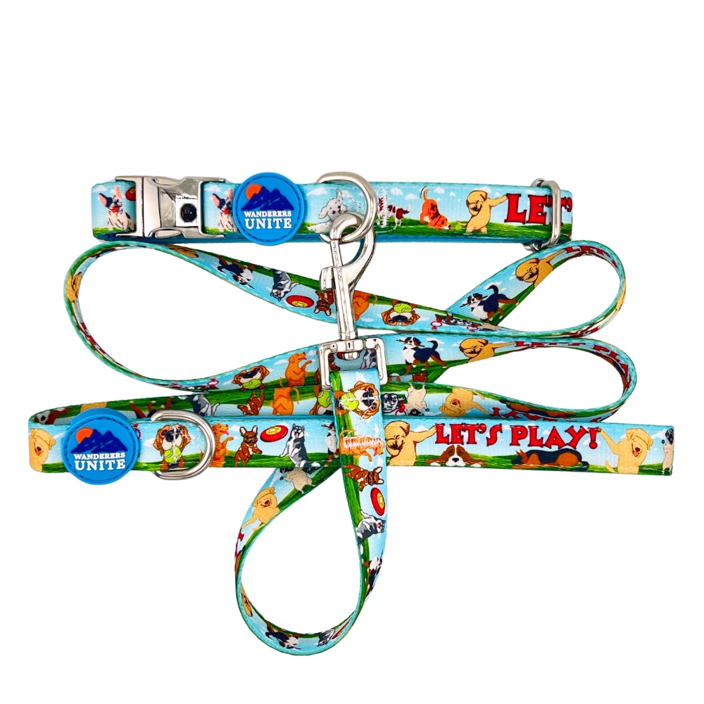 "Let's Play" Custom Design Leash